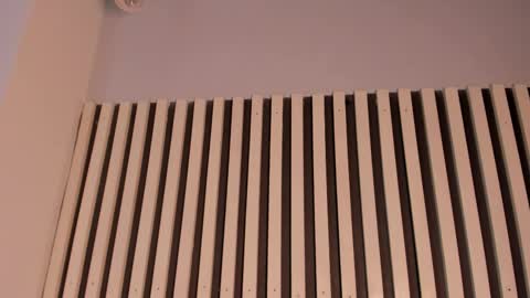 Sofie online show from 11, 11, 2025