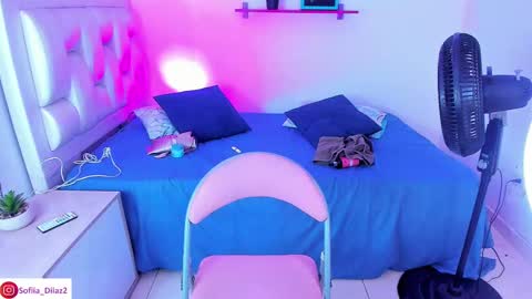 Snapshot of sofiia_diiaz chatting on 12, 3, 2025 Sofa Daz online show from 12, 3, 2025