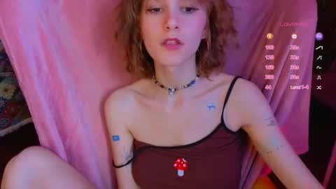 Snapshot of soft_animal chatting on 17, 4, 2026 E online show from 17, 4, 2026