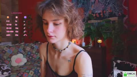 Snapshot of soft_animal chatting on 6, 5, 2026 E online show from 6, 5, 2026