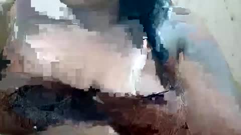 soft_bads online show from 9, 10, 2025