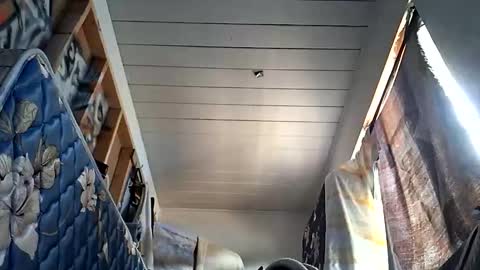 sohan730903 online show from 1, 10, 2025