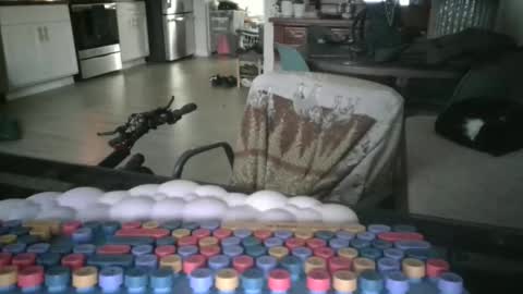 somerandom1109 online show from 25, 3, 2026