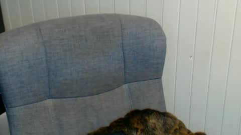 Snapshot of sonjairene chatting on 8, 1, 2025 sonjairene online show from 8, 1, 2025