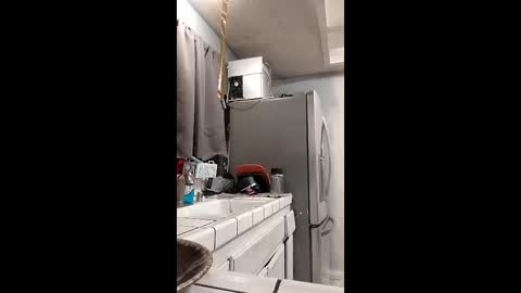 sophia1lux online show from 15, 12, 2025