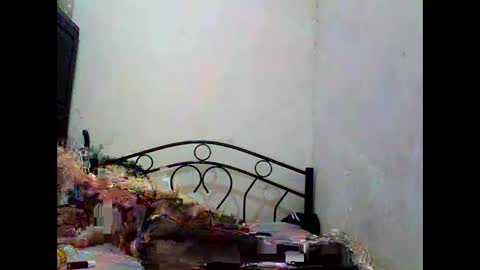 Snapshot of sophialaurel chatting on 1, 10, 2025 sophialaurel online show from 1, 10, 2025