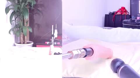 Snapshot of sophialovers01 chatting on 2, 3, 2026 phi online show from 2, 3, 2026