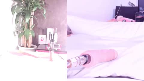 Snapshot of sophialovers01 chatting on 24, 3, 2026 phi online show from 24, 3, 2026