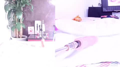 Snapshot of sophialovers01 chatting on 26, 3, 2026 phi online show from 26, 3, 2026