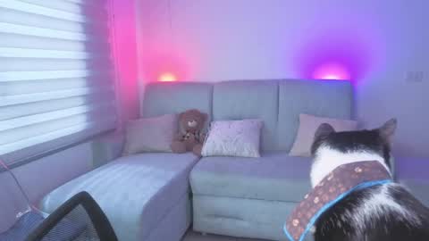 Snapshot of sophie_bbs chatting on 25, 5, 2026 Sophie online show from 25, 5, 2026