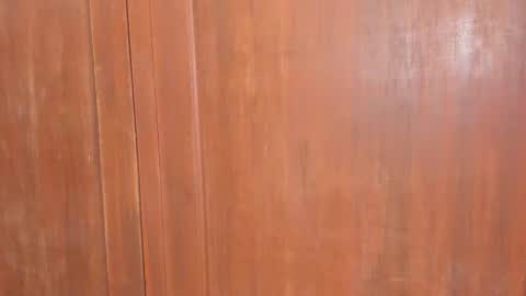 Shopiia88 online show from 18, 2, 2026