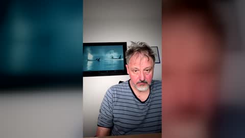 Soundshark online show from 5, 5, 2026