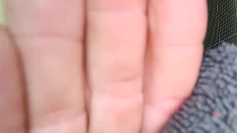 Snapshot of sowbilbao1 chatting on 5, 4, 2026 sowbilbao1 online show from 5, 4, 2026