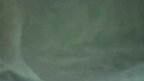 soycule2005 online show from 10, 4, 2026