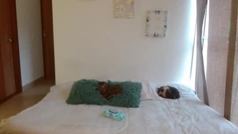 Snapshot of soysilvanna_ chatting on 28, 2, 2026 online show from 28, 2, 2026