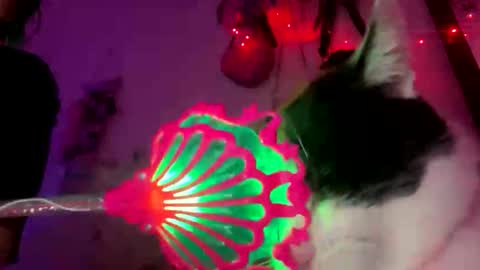 Snapshot of spacegirl42o chatting on 8, 11, 2025 Spacegirl online show from 8, 11, 2025