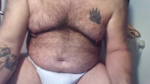 spain_bear online show from 4, 11, 2025