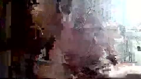 specialdic12 online show from 4, 6, 2026