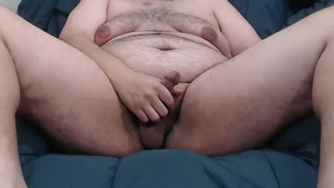 inexperienced  curious online show from 25, 3, 2026