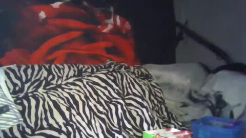 Daddy  His Splash Queen online show from 26, 9, 2025