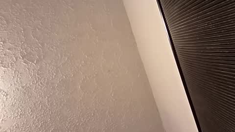 spnk6me9 online show from 29, 3, 2026