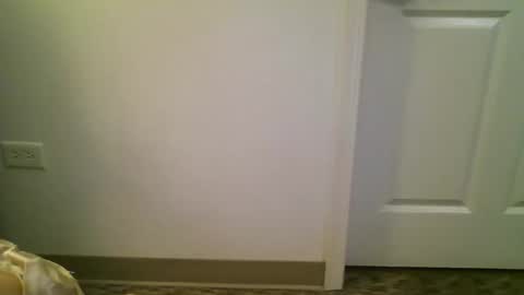 Snapshot of spoilmouse chatting on 11, 1, 2026 princess mouse online show from 11, 1, 2026