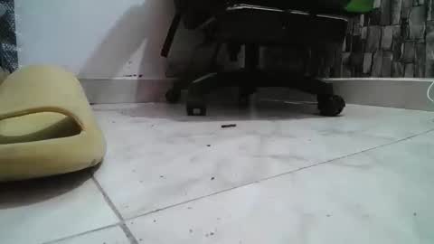 sr master cum its my old account online show from 31, 1, 2026