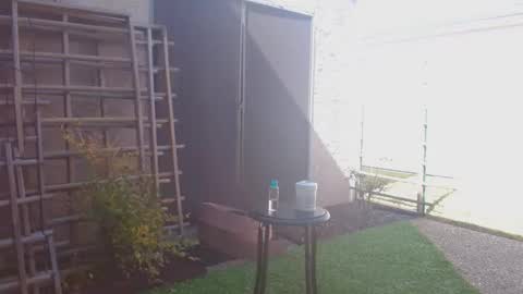 srtxshow online show from 7, 2, 2026