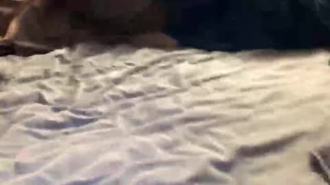 ssportz1392 online show from 1, 11, 2025