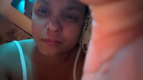 stacysquirtle online show from 5, 2, 2026