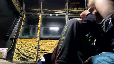 starbie online show from 6, 2, 2025