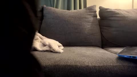 starr3095 online show from 17, 9, 2025