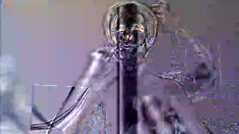 Snapshot of stas81270271861 chatting on 28, 9, 2025 Slava GAY. PVT OPEN. online show from 28, 9, 2025