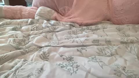 Snapshot of stassiethatsororitygirl chatting on 22, 2, 2025 Stassiethatsororitygirl online show from 22, 2, 2025