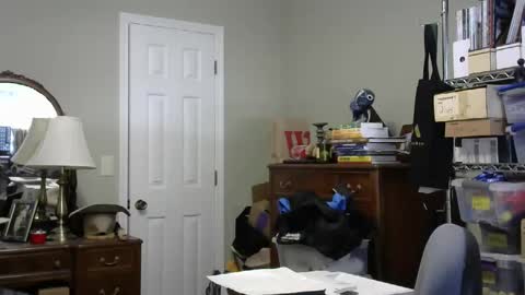 stasw20 online show from 14, 9, 2025