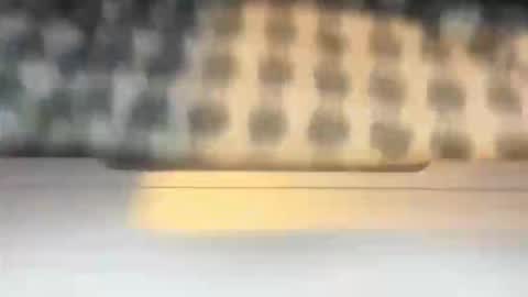 stcolster online show from 7, 3, 2026