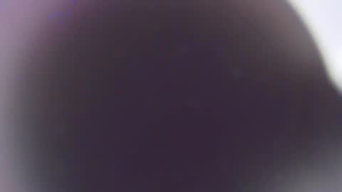 Stefano online show from 3, 12, 2025