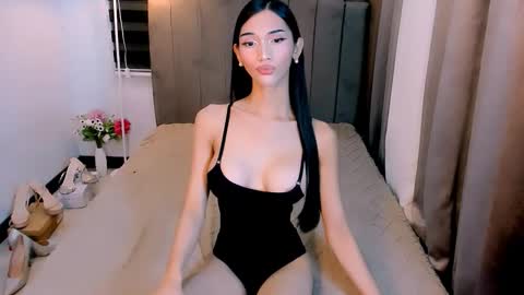 STEF online show from 28, 2, 2026