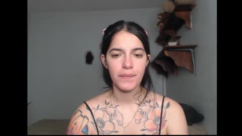 Snapshot of stella_art chatting on 20, 2, 2026 Stella online show from 20, 2, 2026