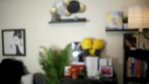 Stella online show from 11, 1, 2026