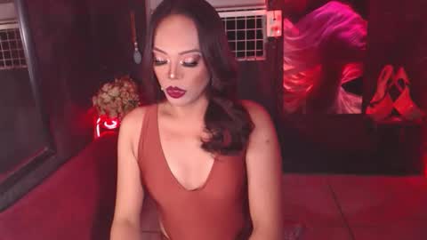 stella online show from 23, 2, 2026