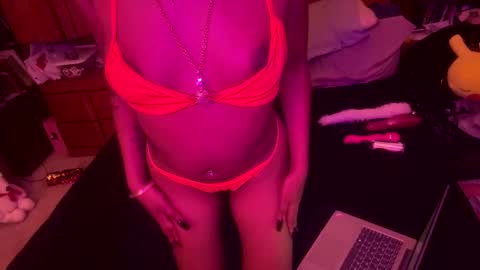 stellakobra online show from 19, 11, 2025