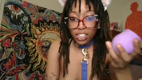 stellakobra online show from 7, 1, 2026