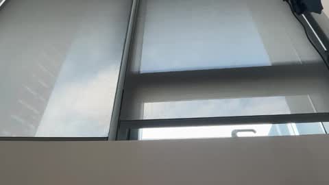 stellapearl online show from 17, 12, 2025