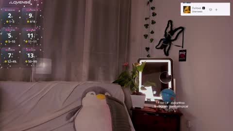 Snapshot of stellart_ chatting on 16, 1, 2025 stellart_ online show from 16, 1, 2025