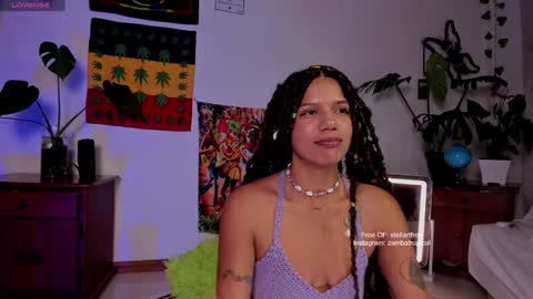 Snapshot of stellart_ chatting on 17, 1, 2025 stellart_ online show from 17, 1, 2025