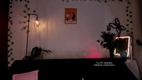 Snapshot of stellart_ chatting on 19, 2, 2025 stellart_ online show from 19, 2, 2025