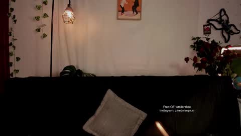 Snapshot of stellart_ chatting on 23, 2, 2025 stellart_ online show from 23, 2, 2025