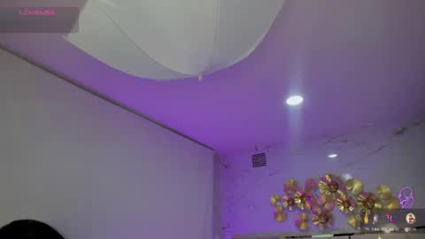 Snapshot of stephania_diamond chatting on 14, 12, 2024 online show from 14, 12, 2024