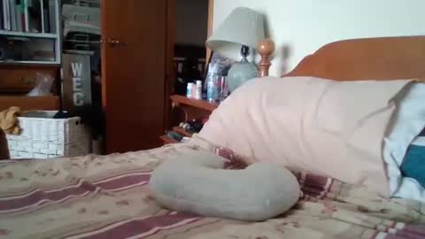 Snapshot of sterben13v chatting on 6, 2, 2026 Ian23602 online show from 6, 2, 2026